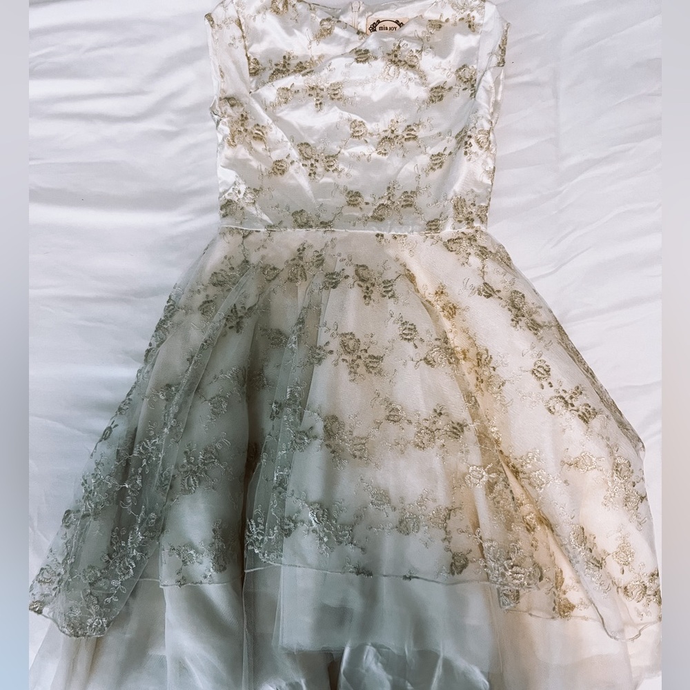 Mia joy tulle formal dress with gold embroidery